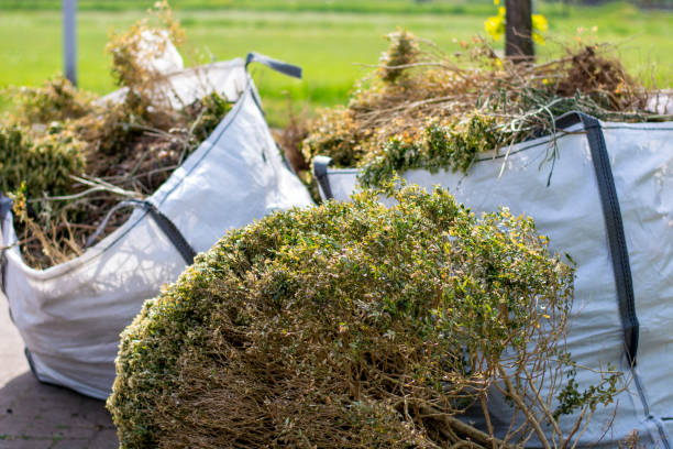Best Junk Hauling Services  in Windsor, IL